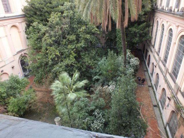 accademia.jpg
