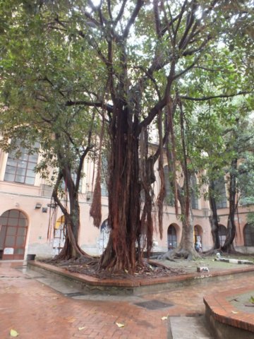 accademia2.jpg