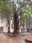 accademia2_small.jpg