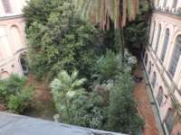 accademia_small.jpg
