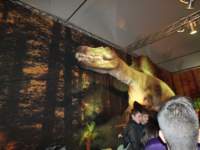 dinosauri3_small.jpg