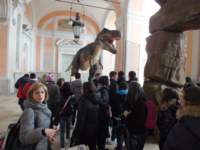mostradinosauri_small.jpg